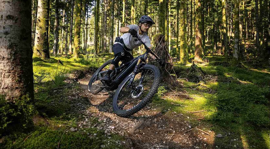 jantes e-bike fnx wheels