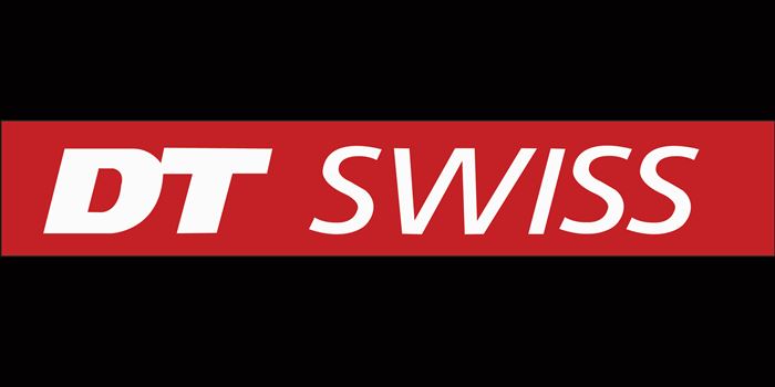 dt swiss logo